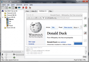 Example application sharing a desktop window